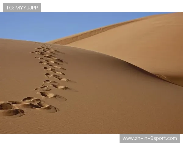“荒漠之王”崛起!——沙丘上演的生死对决,沙漠之山 “荒漠之王”崛起!——沙丘上演的生死对决,沙漠之山
