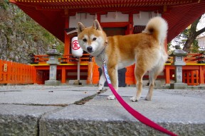 九游登录中心-赛场灯光秀与民族文化融合，开闭幕式更具看点，艺术灯光秀