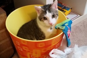 九游用户空间-76人小前锋发文感谢球迷长期支持鼓励，76人之前的大前锋