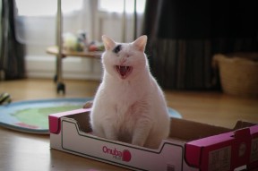 九游娱乐(jiuyou)官方网站-青训教练评价体系上线提升教学能力与人才储备质量，职业梯队青训教练招聘