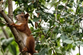 九游登录中心-英超固若金汤：防线坚不可摧，战局胶着