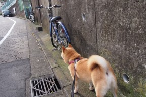 九游官网pc-ATFX透视：PCE稳定呼应美指下行趋势