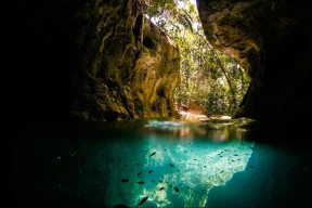 九游app下载中心-中小学篮球合作项目纳入地方教育发展计划，中小学篮球运动发展现状