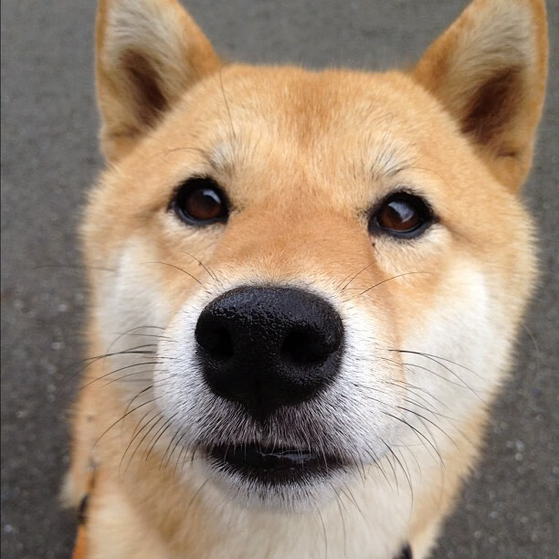 NBA球员专项技能动作捕捉与训练改进，nba球员基本功