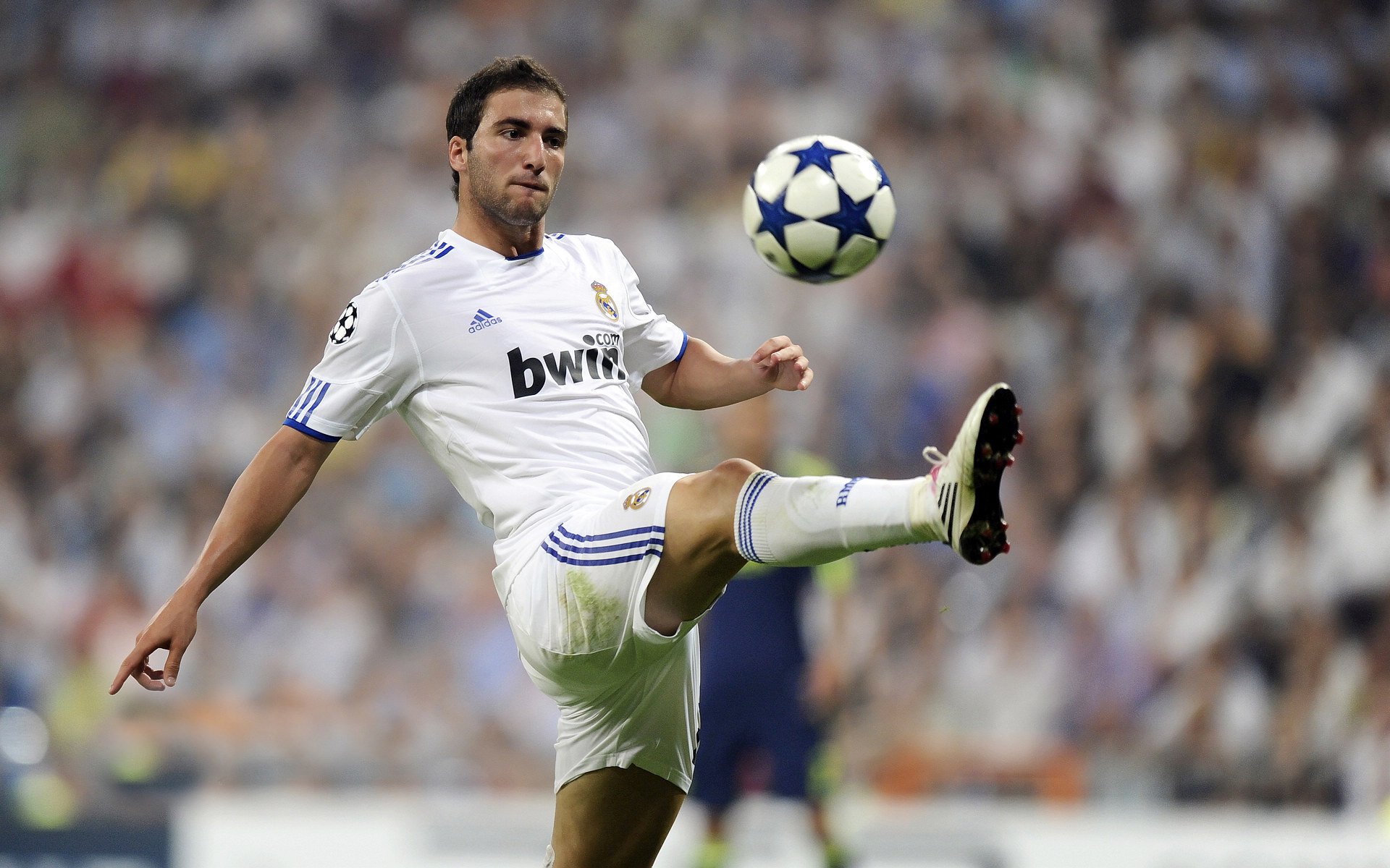 德甲青训中心引入心理韧性训练促进技术发展，德甲青训政策