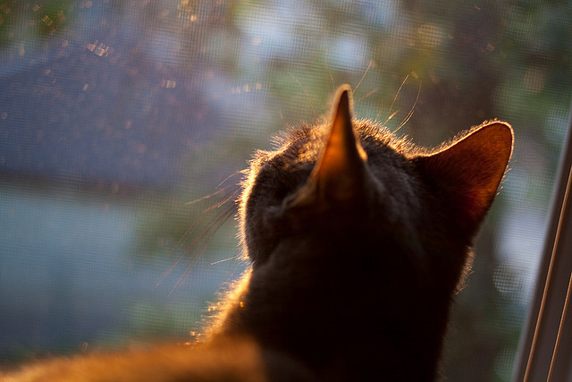 五大联赛是否加强控球中场的射门能力训练,五大联赛防守水平