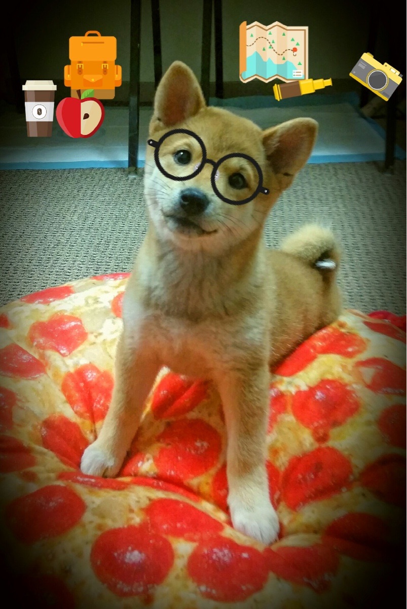 球队是否通过区域站位压缩中前场有效进攻空间