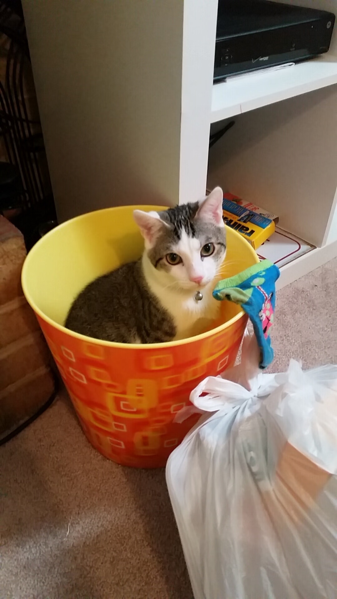 76人小前锋发文感谢球迷长期支持鼓励,76人之前的大前锋