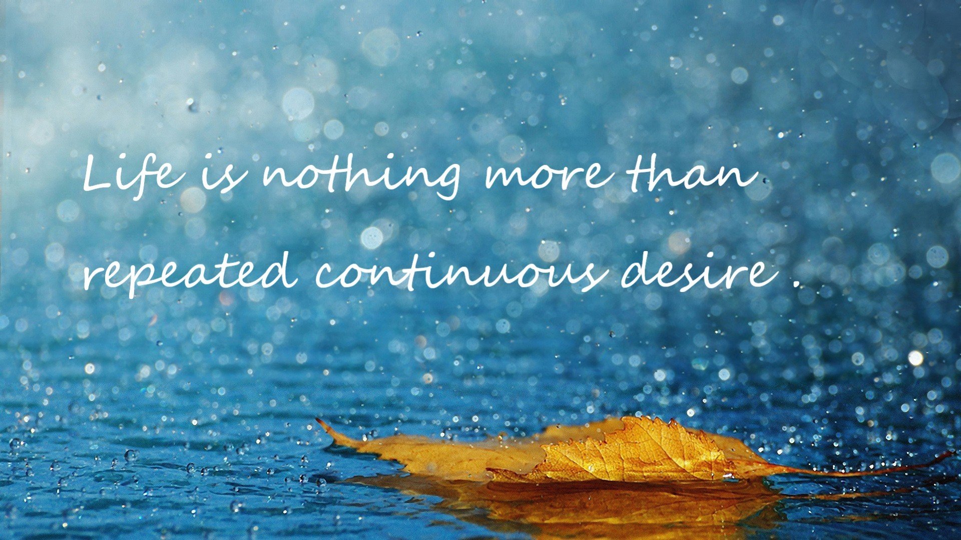 乌拉圭女篮在南美锦标赛中展现强大实力,迈向更广阔舞台,乌拉圭女子联赛