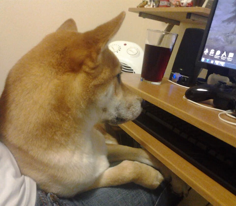 公牛前锋在高强度对抗中连续完成抢断,公牛前锋在高强度对抗中连续完成抢断