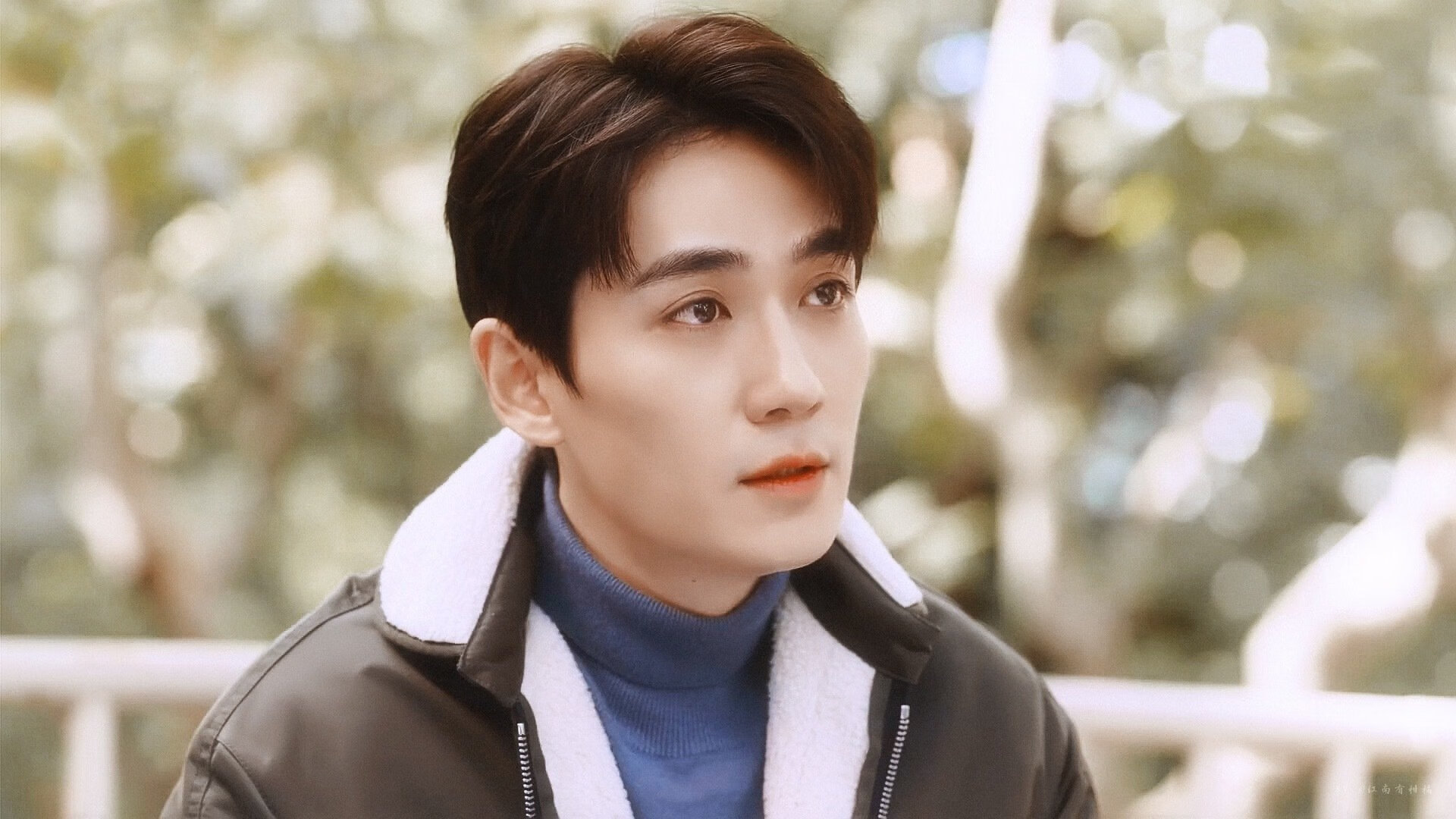 凯尔特人举行球队传统日回顾队史荣耀时刻,凯尔特人队史第5期