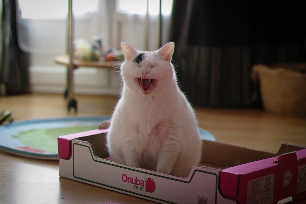 男篮战术演练强化外线联动三分命中率稳步提升，篮球外线进攻战术