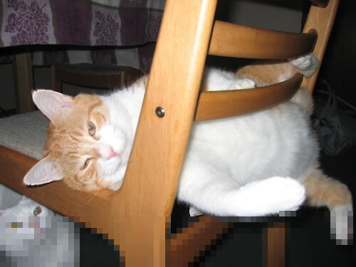 雷霆计划提升场馆观众体验改造座椅，雷霆活动