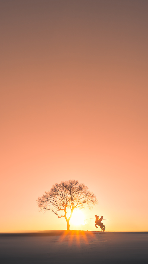 佛得角逆袭成功，世界杯资格赛迈出关键一步，佛得角共和国足球排名